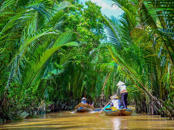 Paddelbåtar i Mekongdeltat, Vietnam