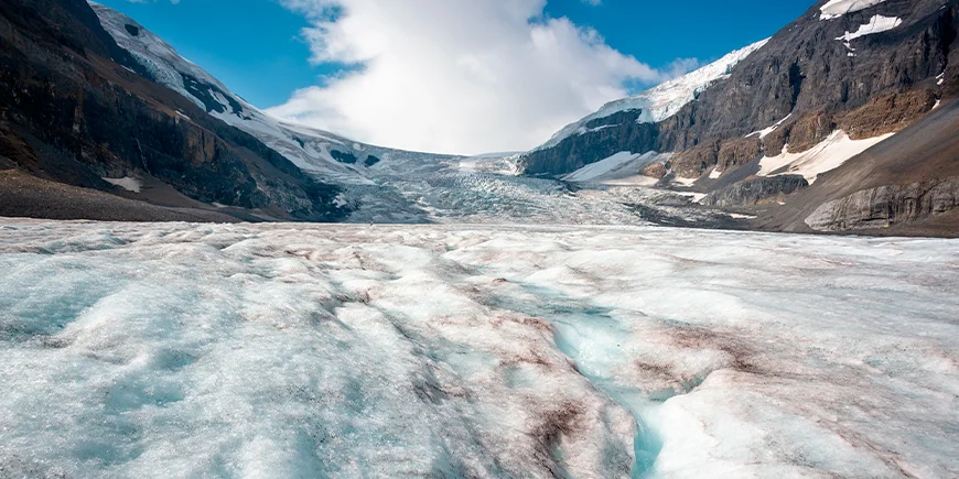 Athabasca-glaciären i Kanada