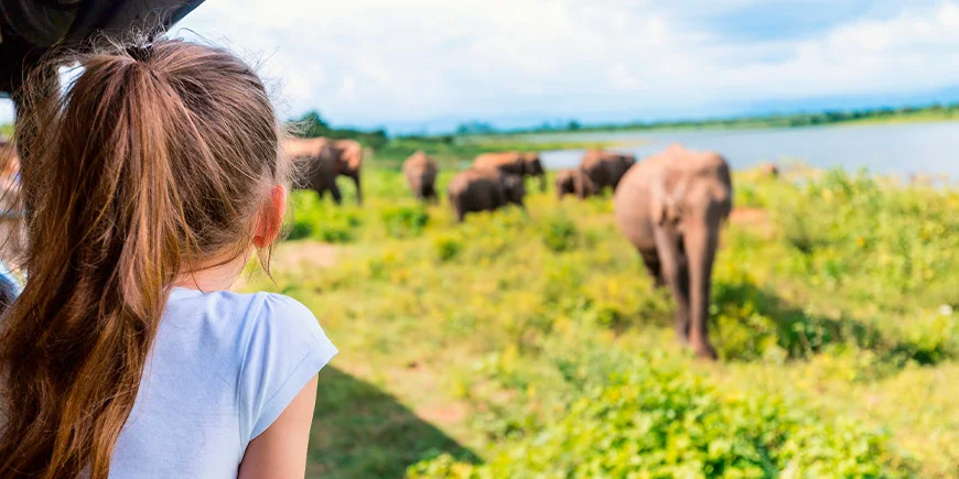 Flicka på safari i Udawalawe