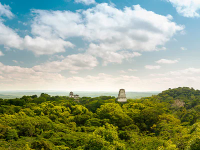 Överblick över Tikal nationalpark med ruiner och regnskog