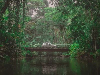 En bil kör genom djungeln i Costa Rica
