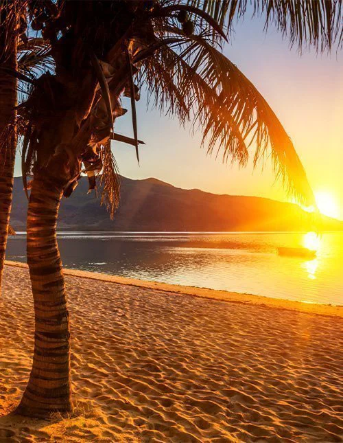 Vacker palmklädd strand på Mauritius vid solnedgången