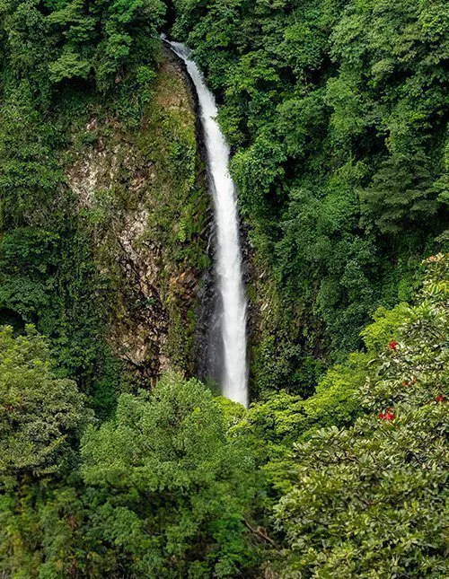 Högt vattenfall störtar ner genom tät och frodig regnskog i Costa Rica