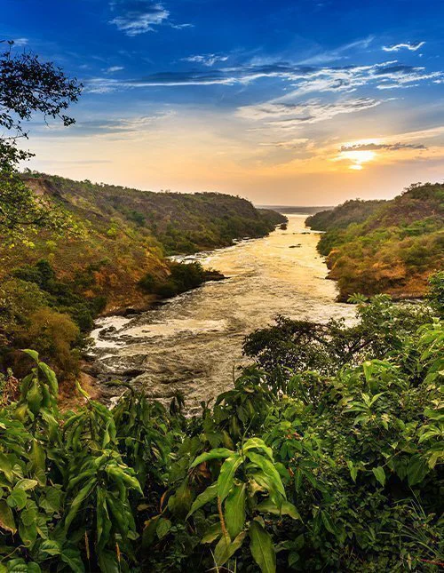 Murchison Falls nationalpark i Uganda